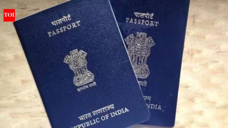 ‘I don’t feel rooted here’: Indian couple in Ireland to return to Pune after 11 years, citing AI pressure and job stress